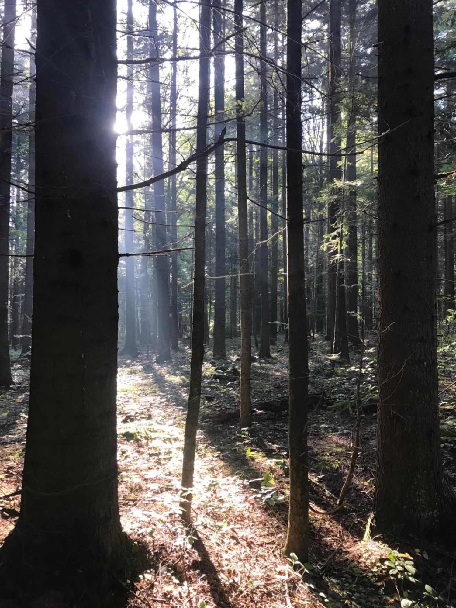 Hotel Zakatek Wysowa-Zdrój Exteriér fotografie